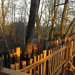 Des Cerfs * Allons (Lot-et-Garonne)