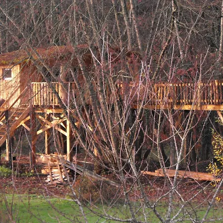 Des Cerfs * Allons (Lot-et-Garonne)