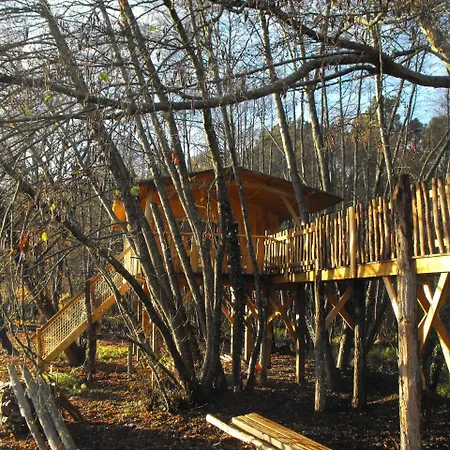 Des Cerfs Allons (Lot-et-Garonne)