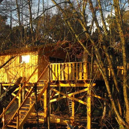 Des Cerfs * Allons (Lot-et-Garonne)