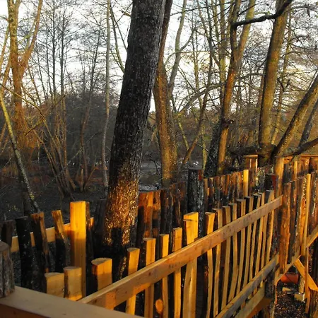 Des Cerfs * Allons (Lot-et-Garonne)